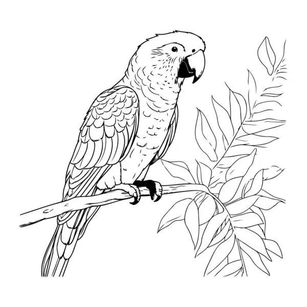 Bir dalda oturan papağan. El çizimi vektör illüstrasyonuName.