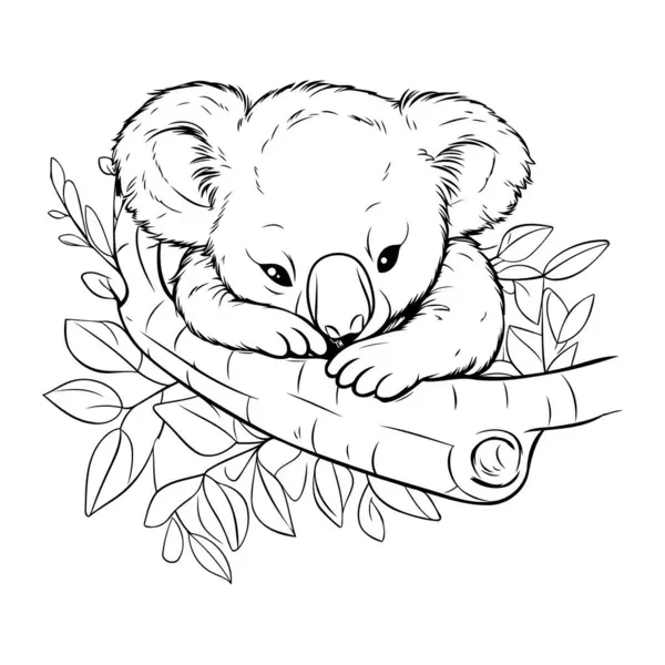 Koala Sover Gren Eukalyptus Vektorillustration — Stock vektor