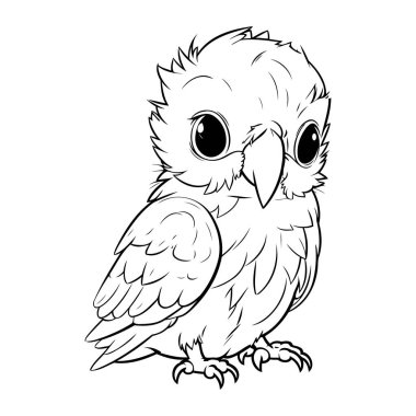 Baykuş Siyah ve Beyaz Çizgi Film Çizim Kitabı