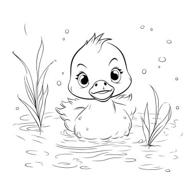 Ördek yavrusu suda yüzüyor. Siyah ve beyaz vektör çizimi.