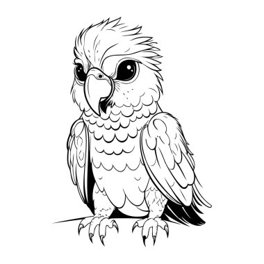 Beyaz arka planda papağan. Bir papağanın vektör çizimi.