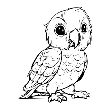 Baykuş. Boyama kitabı veya sayfa için siyah ve beyaz vektör illüstrasyonuName.