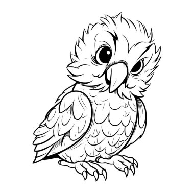 Baykuş siyah ve beyaz vektör çizimi. Beyaz arkaplanda izole.