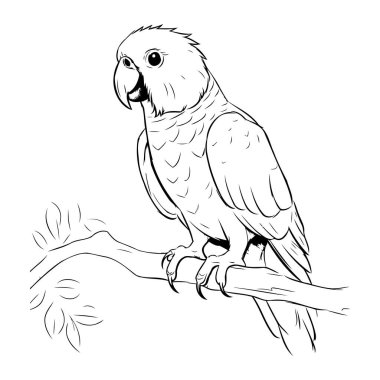 Bir dalda oturan papağan. skeç vektör grafikleri tek renkli illüstrasyon