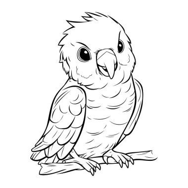 Yetişkinler için Sevimli Baykuş Boyama Kitabı