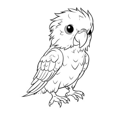 Yetişkin ve büyük çocuklar için boyama kitabı. Bir kakadunun siyah ve beyaz vektör çizimi.
