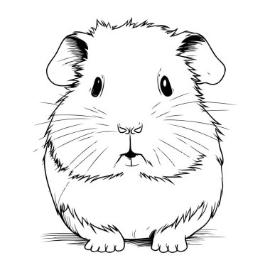Beyaz arka planda şirin bir kobay. Vektör illüstrasyonu.