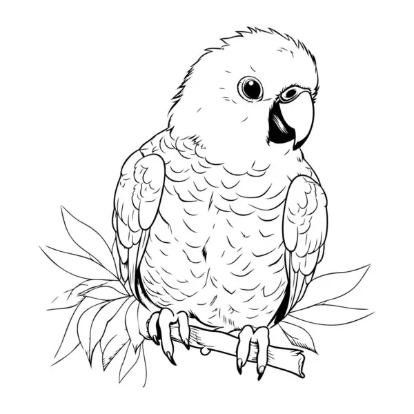 Parrot Sitting Branch Leaves Black White Vector Illustration — Stock Vector