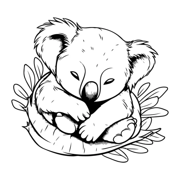 Urso Koala Dormindo Uma Flor Ilustração Desenhada Mão Vetorial — Vetor de Stock