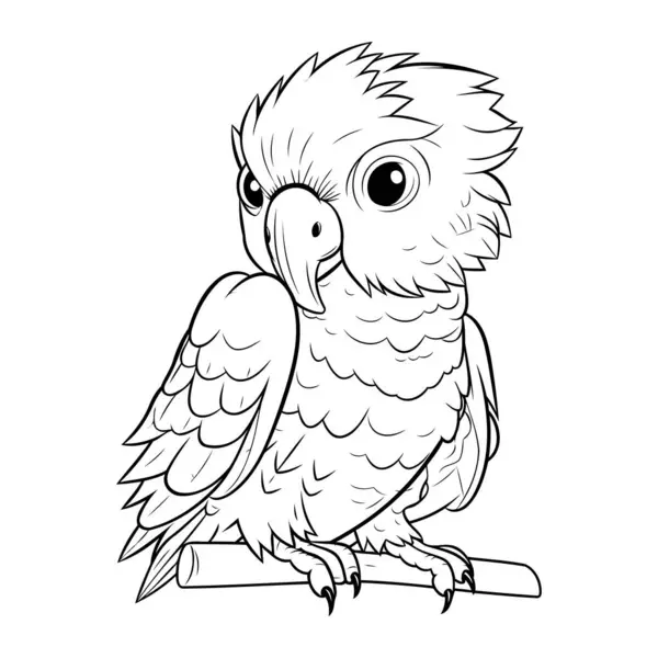 Раскраска Книги Страницы Детей Милый Мультяшный Попугай — стоковый вектор