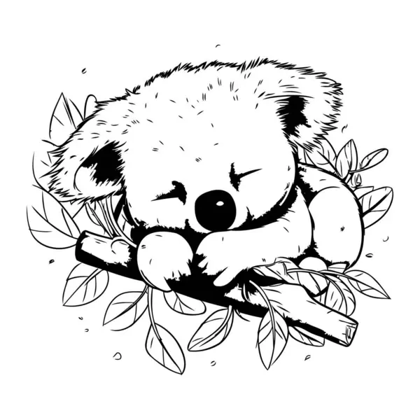 Urso Coala Bonito Dormindo Ramo Com Folhas Ilustração Vetorial Desenhada — Vetor de Stock