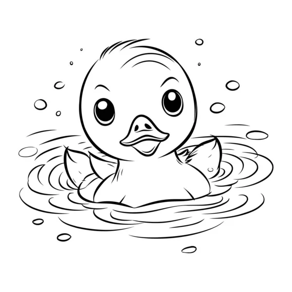 Duckling Swimming Water Black White Vector Illustration — Stock Vector