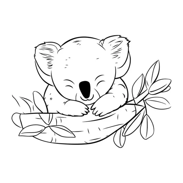 Bonito Desenho Animado Koala Dormindo Ramo Eucalipto — Vetor de Stock