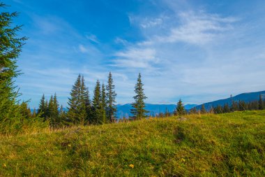 Karpatlar 'daki dağların manzarası