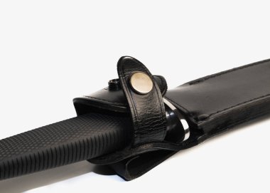 Beyaz arka planda izole edilmiş av bıçağı. Beyaz arka planda kınlı hatıra toplama hançeri. Keskin bıçak, paslanmaz çelik bıçak..