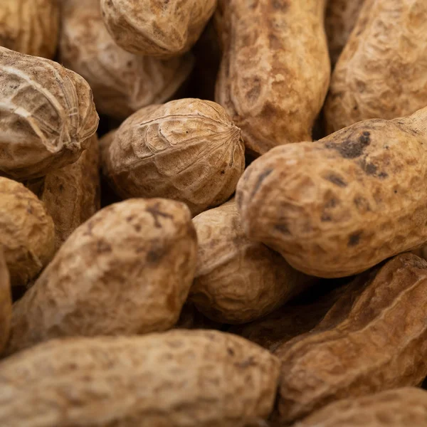 Peanuts in shell isolated on white background. Heap of peanuts close up