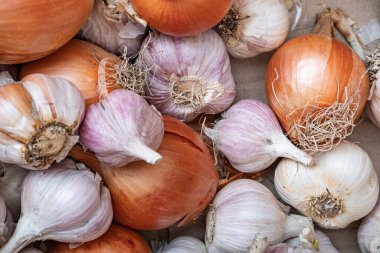 Lots of beautiful onions and garlic