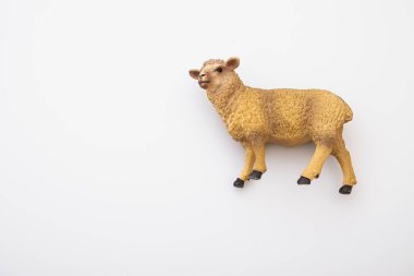Small little lamb figurine isolated on Whitetoy plastic sheep on white background