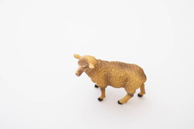 Small little lamb figurine isolated on Whitetoy plastic sheep on white background