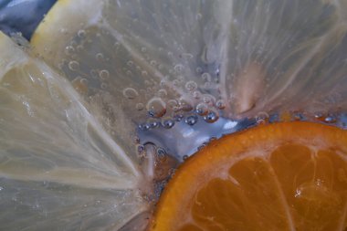 Slices of citrus fruits in sparkling water on white background, closeup.Lemon slices in sparkling mineral water.
