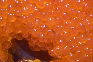 Texture photo of red caviar close up