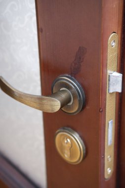 a wooden door, a copper door handle or a handle on a wooden door in beautiful lighting