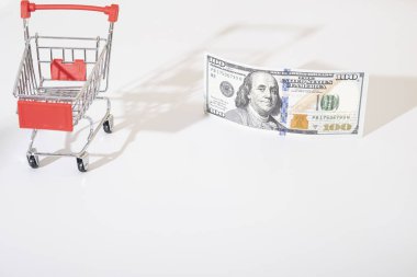 shopping cart with 100 dollar american banknote. Consumption, shopping concept, trolley. Empty space for text