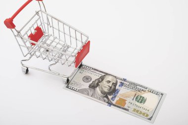 shopping cart with 100 dollar american banknote. Consumption, shopping concept, trolley. Empty space for text