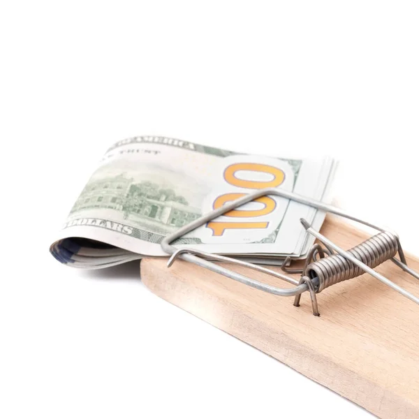 stock image Many banknotes in mouse trap on the white background