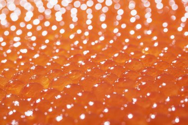 Texture photo of red caviar close up