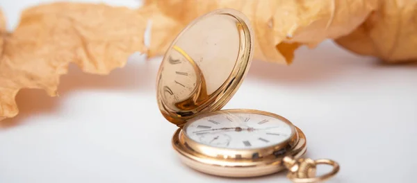 Kieszonkowy Złoty Zegarek Suche Liście Beżu — Zdjęcie stockowe