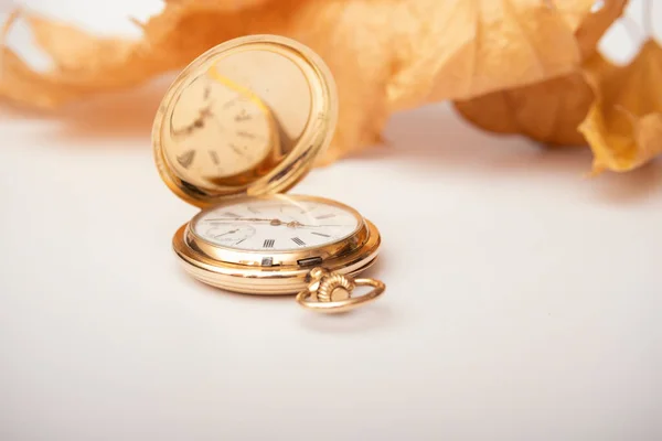Kieszonkowy Złoty Zegarek Suche Liście Beżu — Zdjęcie stockowe