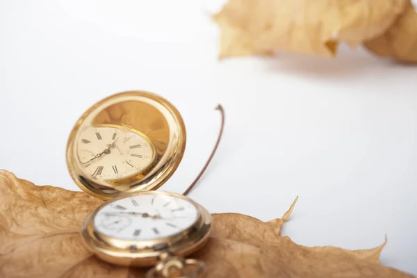 Pocket Gold Watch Dry Beige Leaves — стоковое фото