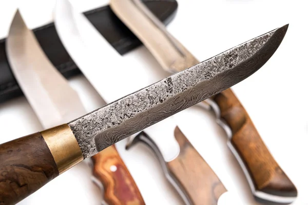 白を基調とした狩猟用ナイフ狩猟シーズン肉切りナイフ冷間鋼 — ストック写真