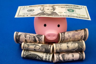 Domuz ve 100 Amerikan doları, mavi arka plan. Bir daire satın almak için kredi.