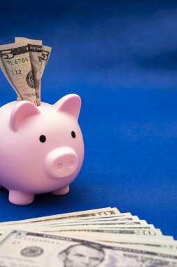 Domuz ve 100 Amerikan doları, mavi arka plan. Bir daire satın almak için kredi.