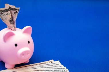 Domuz ve 100 Amerikan doları, mavi arka plan. Bir daire satın almak için kredi.