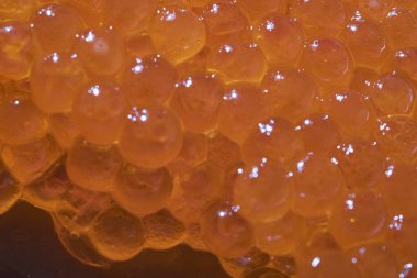 Texture photo of red caviar close up