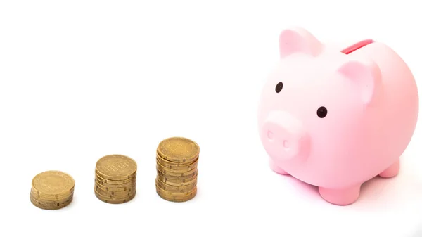 Piggy Bank Conceito Poupança Fundos Poupança Dinheiro Banco Porquinho — Fotografia de Stock