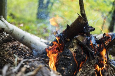 Ormanda yemek pişirmek için kamp ateşi. Yanan ateş. Ormanda yangın var. Yanan ateş dokusu. Kuru dalları yakıyor. Ormanda turist yangını. Yanan dalların dokusu.