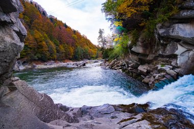 Yaremche şelalesi, Karpatlar 'daki Prut dağı nehri. Ukrayna