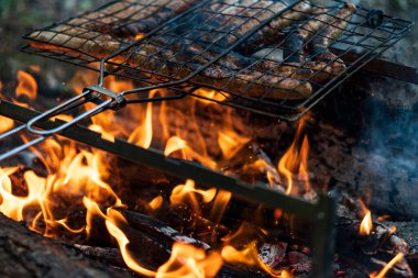 Bahçede mangal partisi. Izgarada ızgara sosis. Bavyera sosisi. Barbekü pişirme. Açık ateşte yemek pişirmek.
