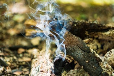 Ormanda yemek pişirmek için kamp ateşi. Yanan ateş. Ormanda yangın var. Yanan ateş dokusu. Kuru dalları yakıyor. Ormanda turist yangını. Yanan dalların dokusu.