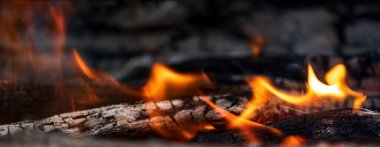 Ormanda yemek pişirmek için kamp ateşi. Yanan ateş. Ormanda yangın var. Yanan ateş dokusu. Kuru dalları yakıyor. Ormanda turist yangını. Yanan dalların dokusu.