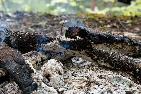 stock image Campfire for cooking in the forest. Burning fire. The fire burns in the forest. Burning fire texture. Burning dry branches. Tourist fire in the forest. Texture of burning branches.