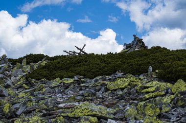 Gorgan Dağları, hemen hemen her zirvede bulunan sarı-yeşil liken ve ince yosunlarla kaplı sayısız gri taş çıkıntısıdır. Kökler ve mantar yosunu ormanlarıyla iç içe geçmiş böyle gorgan patikaları muhtemelen hiçbir yerde yoktur. 