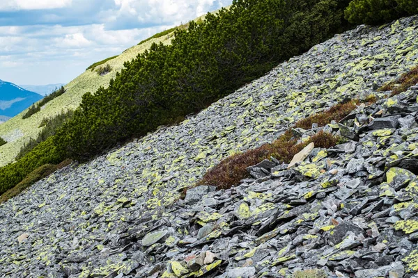 Gorgan Hegység Számos Szürke Kőből Áll Amelyeket Sárga Zöld Zuzmók — Stock Fotó