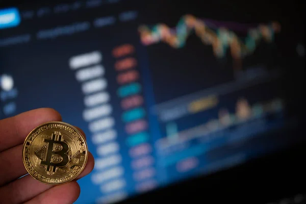 Bitcoin Münze Auf Computer Hintergrund Das Konzept Der Investition Bitcoin — Stockfoto