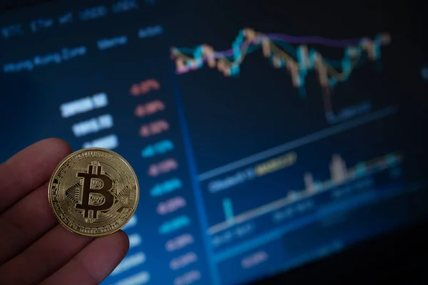 Bilgisayar geçmişinde Bitcoin para. Bitcoin ve kripto para yatırımı kavramı. Şifreli paralar bitcoin. Bitcoin oranlarının dinamiği. Kripto para değişimi ticareti. Bitcoin büyüme grafiği.