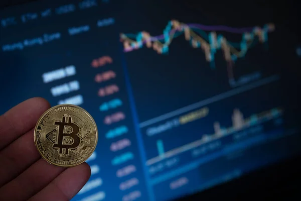 Bitcoin Munt Computer Achtergrond Het Concept Van Het Investeren Bitcoin Stockfoto